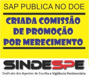 PROMOÇÃOPORMERECIMENTO